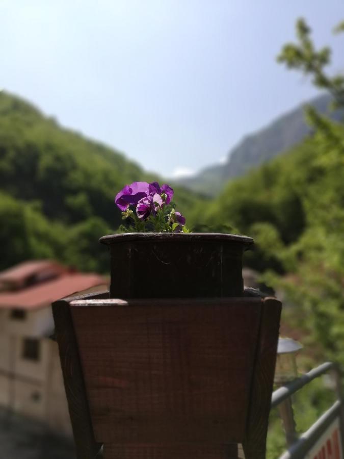 Дом Бакалски-Кмета Narechenski Bani Exterior foto