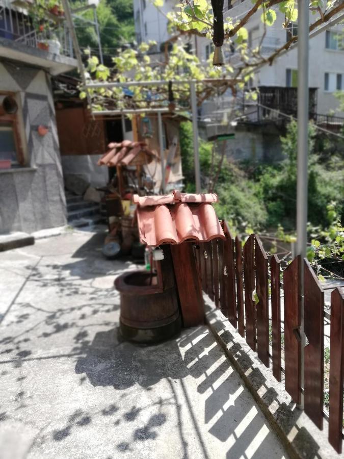 Дом Бакалски-Кмета Narechenski Bani Exterior foto