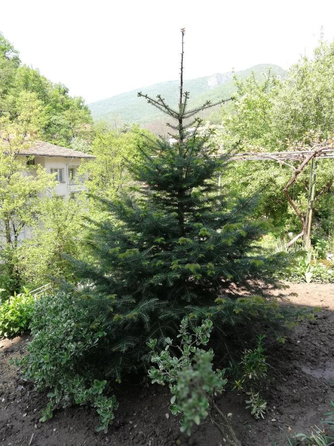 Дом Бакалски-Кмета Narechenski Bani Exterior foto